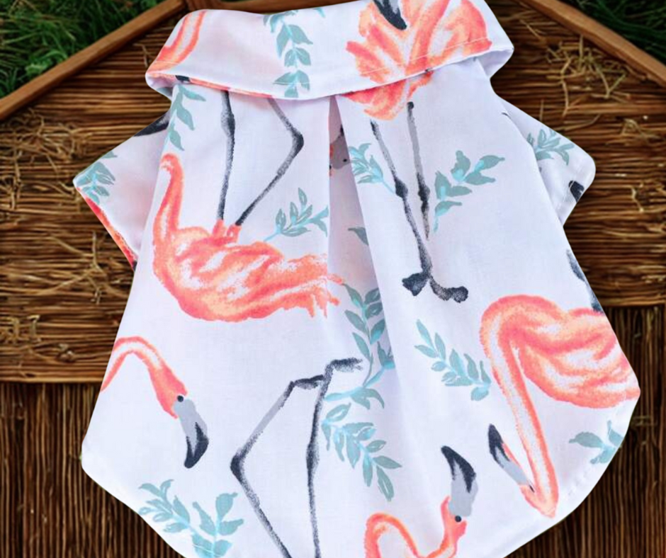Camisa