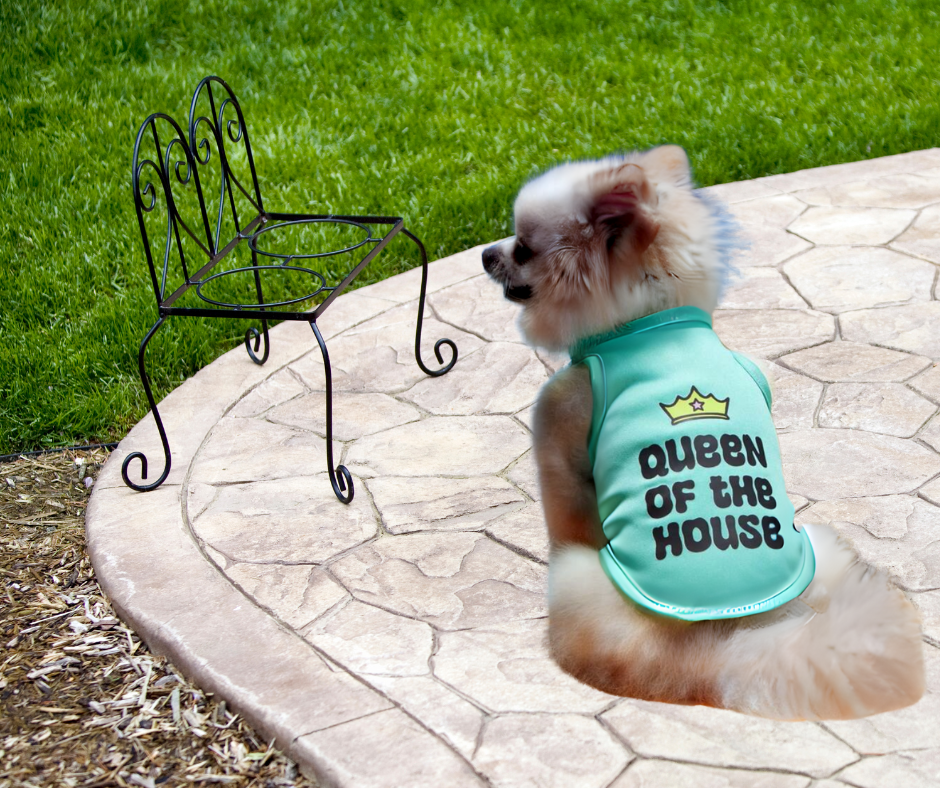 Camisetilla Queen of the House