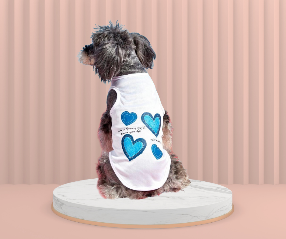 Camisetilla