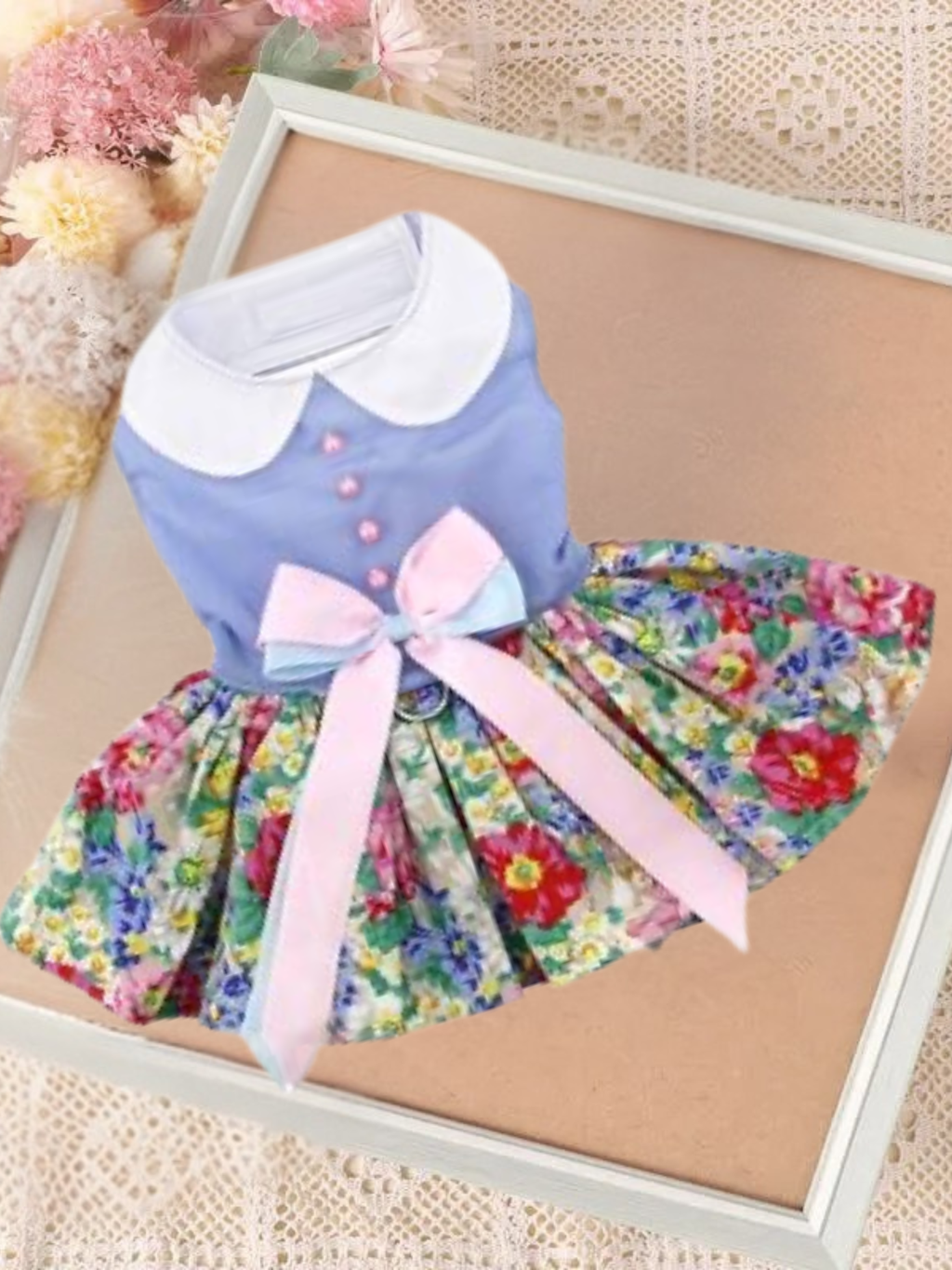 Vestido con Leash