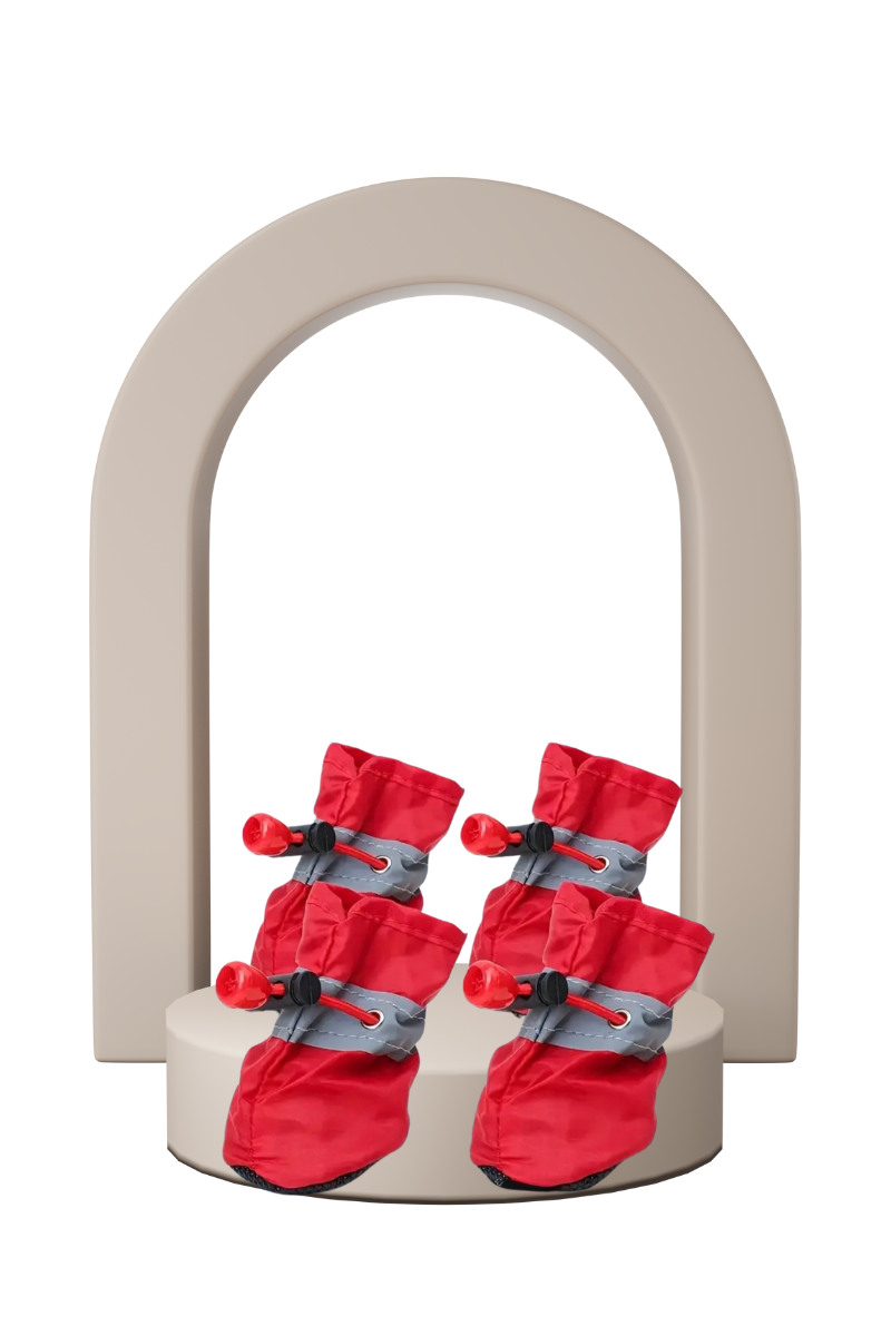 Zapatitos