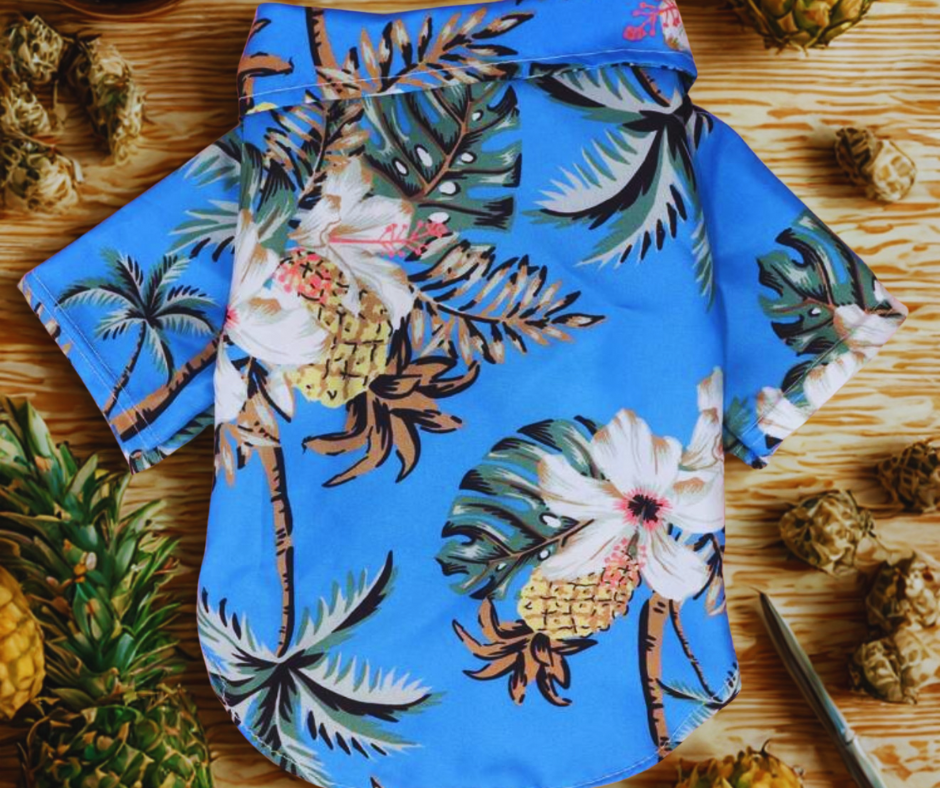 Camisa Hawaiana