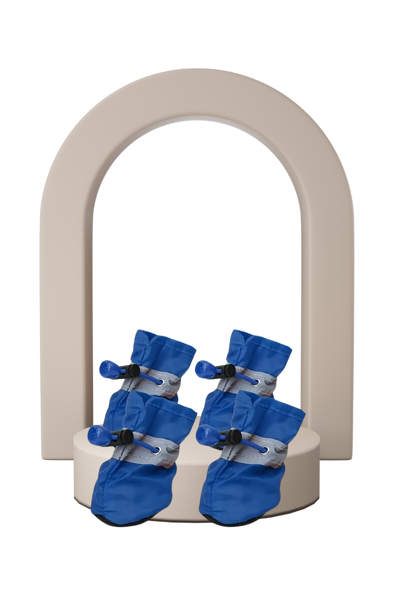 Zapatitos