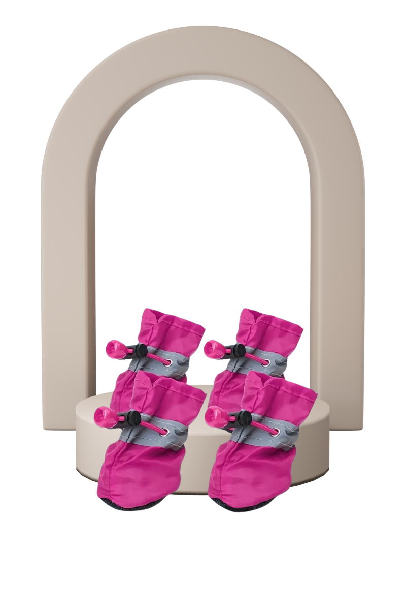 Zapatitos