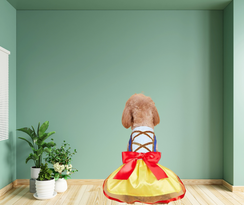 Vestido de Princesa