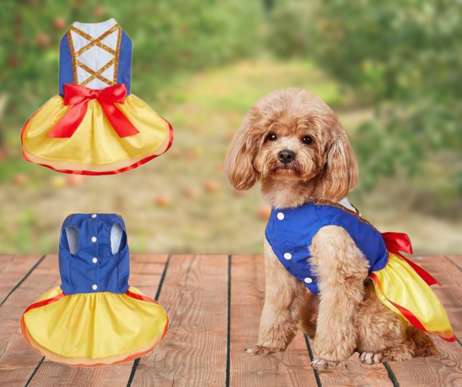 Vestido de Princesa