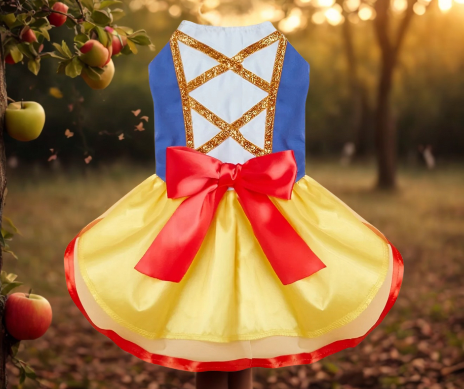 Vestido de Princesa