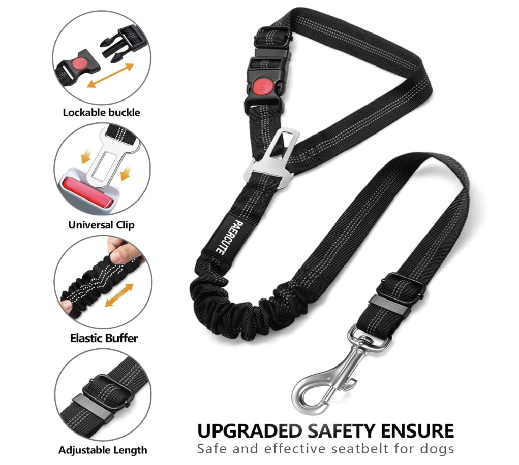 Cinturón de Seguridad 3 en 1