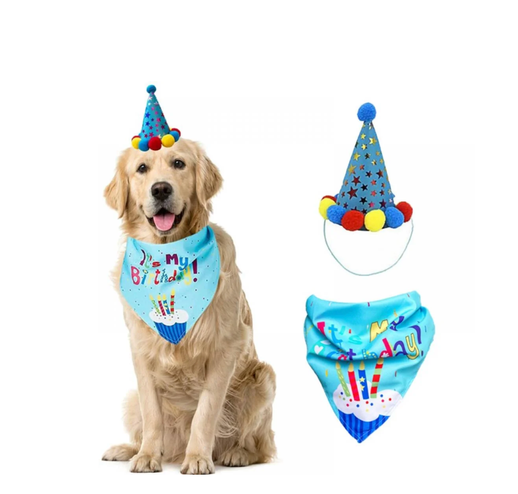 Sombrero y pañuelo (bandana)