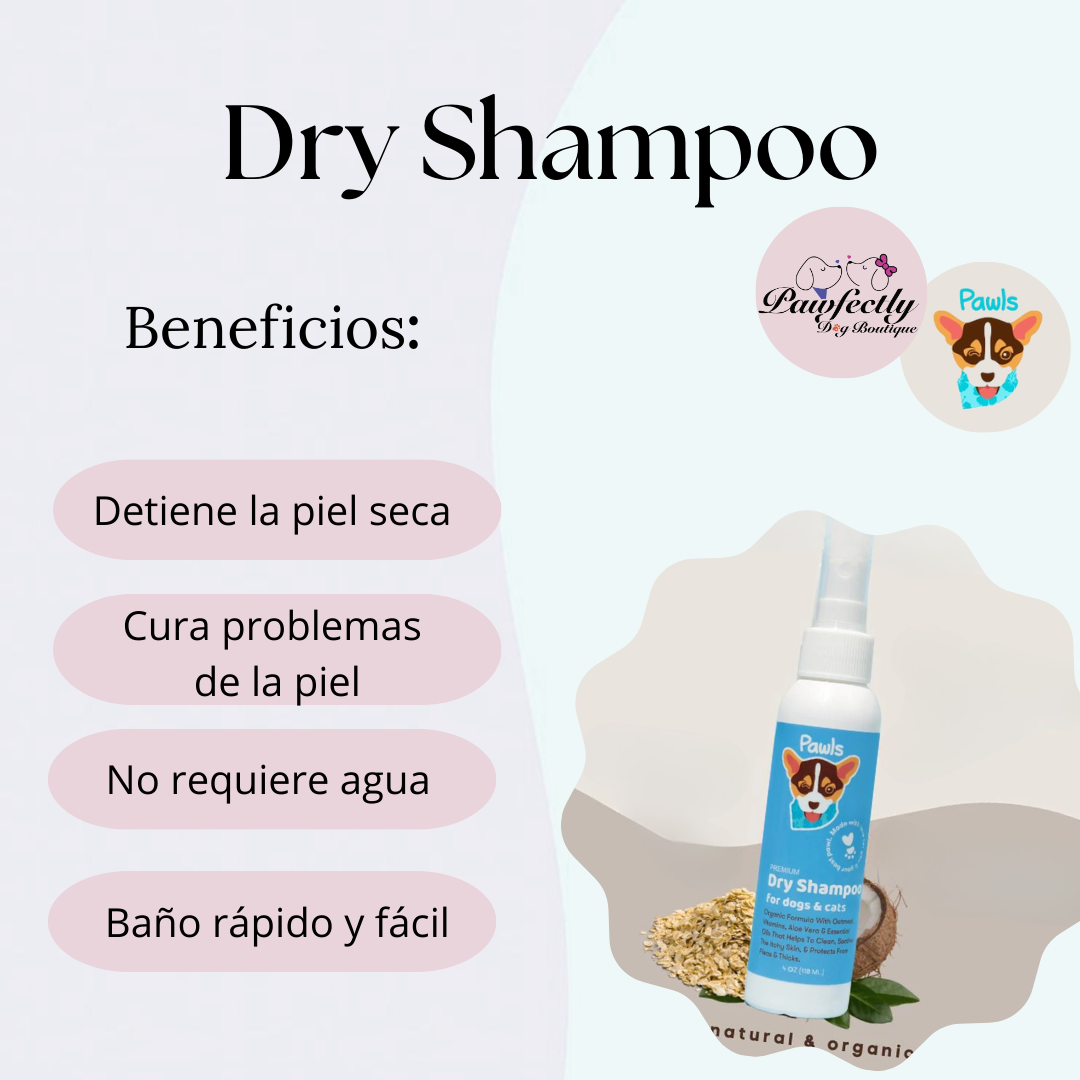 Dry Shampoo