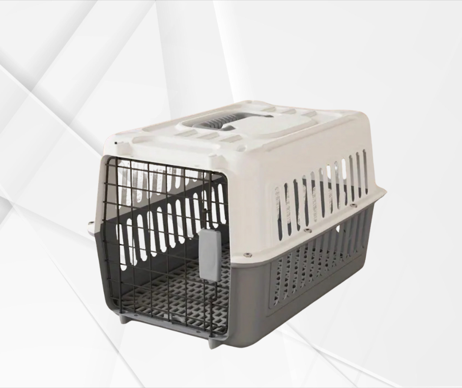 Kennel
