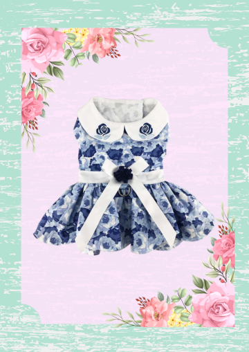 Vestido con Leash