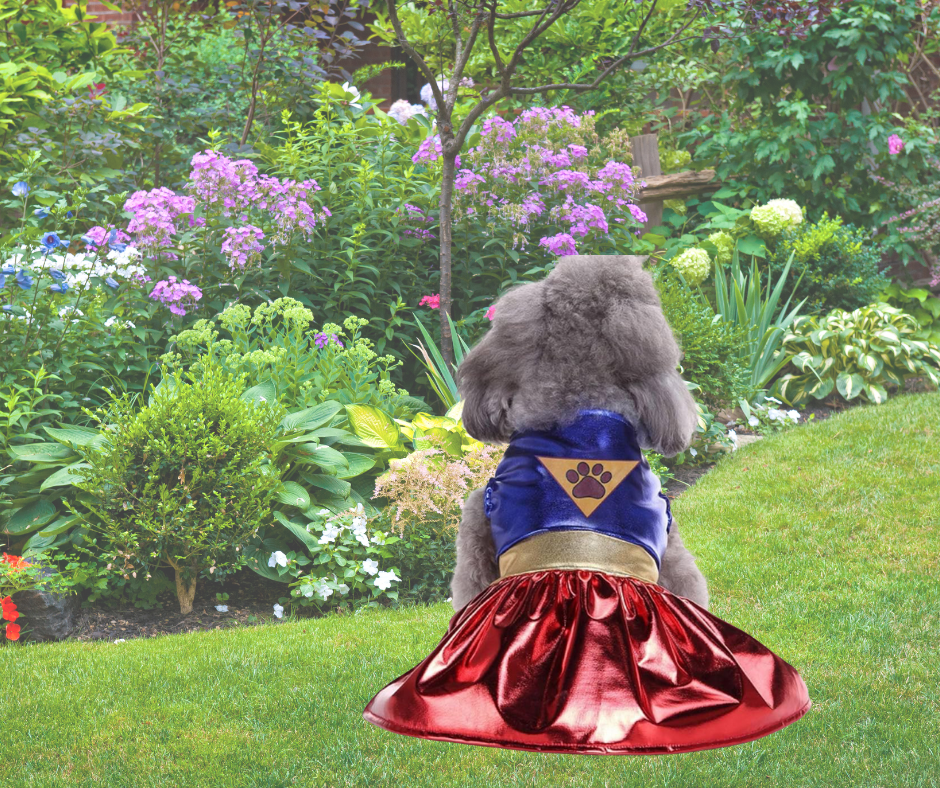 Vestido de Superhéroe